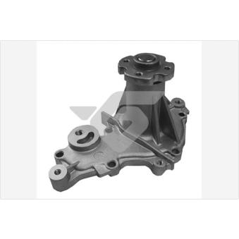Pompe à eau HUTCHINSON OEM 1740083812
