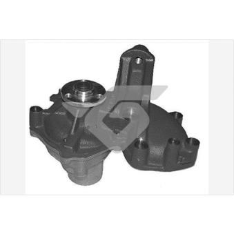 Pompe à eau HUTCHINSON OEM 7693966 Pompe à eau HUTCHINSON OEM 7693966