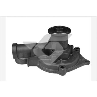 Pompe à eau HUTCHINSON WP352