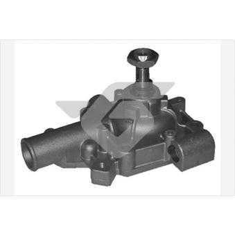Pompe à eau HUTCHINSON OEM PA0020