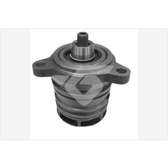 Pompe à eau HUTCHINSON OEM 070121011D
