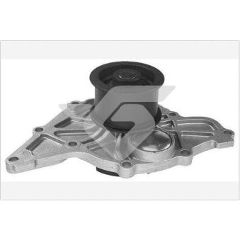 Pompe à eau HUTCHINSON OEM 059121004EX