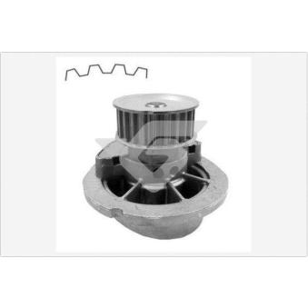 Pompe à eau HUTCHINSON OEM 9199592