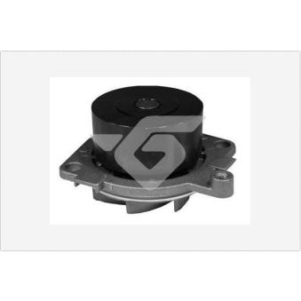 Pompe à eau HUTCHINSON OEM 60816231