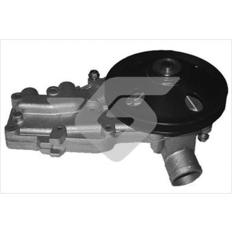 Pompe à eau HUTCHINSON OEM 7701462145