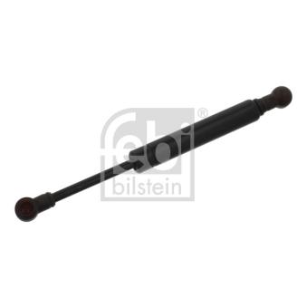 Amortisseur tringlerie, injection FEBI BILSTEIN [05086]