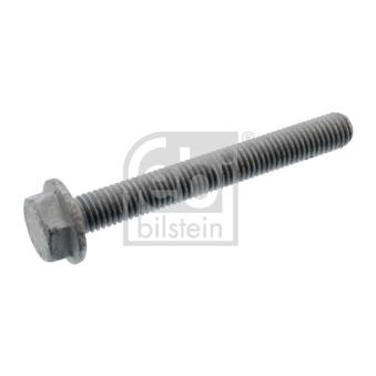 Vis, plaque de pression FEBI BILSTEIN [107696]