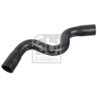Durite de radiateur FEBI BILSTEIN 170983 pour RENAULT LOGAN 1.6 - 87cv