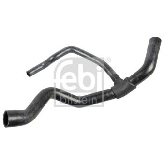 Durite de radiateur FEBI BILSTEIN OEM 7700413941