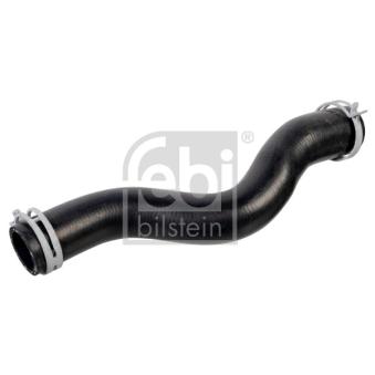 Durite de radiateur FEBI BILSTEIN OEM 1351NS