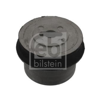 Silent bloc de suspension (train arrière) FEBI BILSTEIN OEM 423302