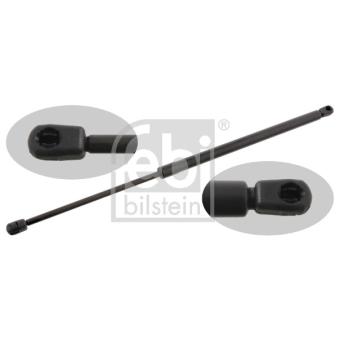 Vérin de hayon, de coffre FEBI BILSTEIN OEM 51248230070