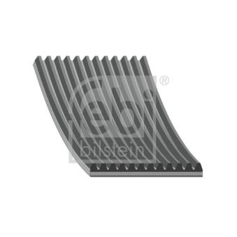 Courroie trapézoïdale à nervures FEBI BILSTEIN OEM 504049425 Courroie trapézoïdale à nervures FEBI BILSTEIN OEM 504049425