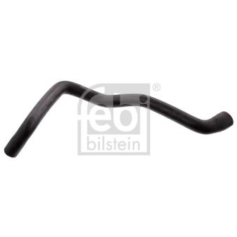 Durite de radiateur avant droit FEBI BILSTEIN 36142