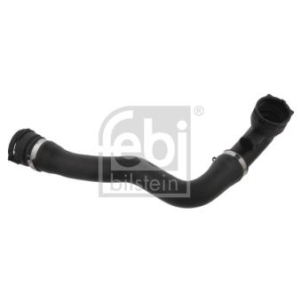 Durite de radiateur avant droit FEBI BILSTEIN [36596]