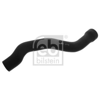 Durite de radiateur FEBI BILSTEIN 37718