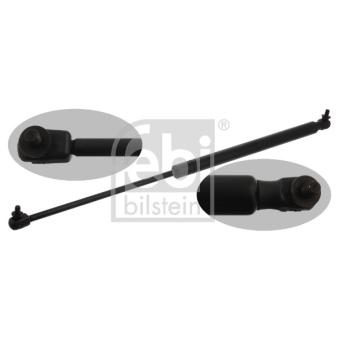 Vérin de hayon, de coffre FEBI BILSTEIN OEM 05067565AA