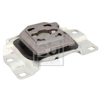 Suspension, boîte automatique FEBI BILSTEIN 44496 pour FORD FOCUS 2.0 TDCi - 110cv