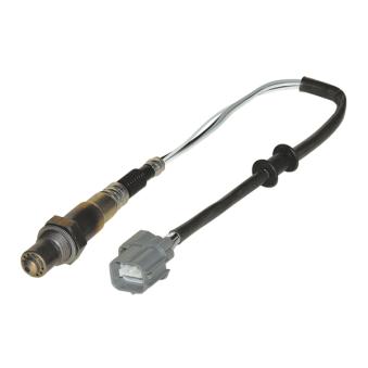 Sonde lambda BOSCH OEM 36531P2RA01