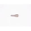 BOSCH 0 433 171 817 - Buse/Gicleur/Injecteur