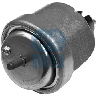 Support moteur RUVILLE OEM 0684681