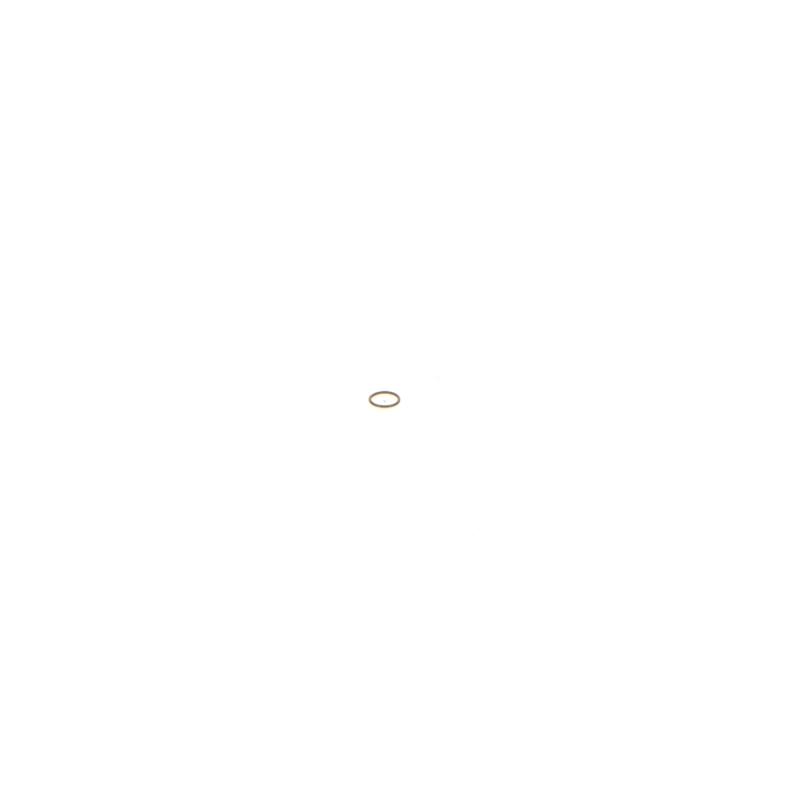 Bague d'étanchéité BOSCH 1 410 227 001 - Visuel 2
