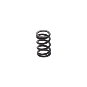 Ressort BOSCH OEM 210953 Ressort BOSCH OEM 210953
