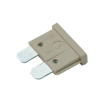 Fusible BOSCH [1 904 529 903]