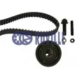 Kit de distribution RUVILLE [5540570]
