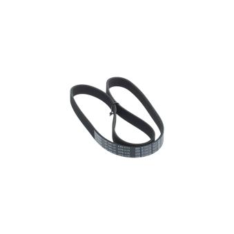 Courroie trapézoïdale à nervures BOSCH 1 987 945 147 pour NISSAN 350 3.5 - 301cv