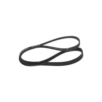 Courroie trapézoïdale à nervures BOSCH OEM 0029932496