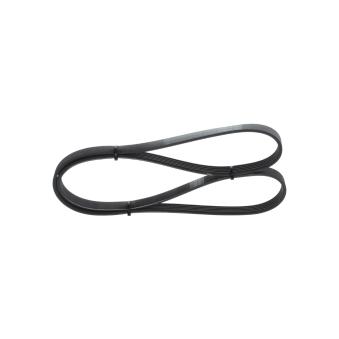 Courroie trapézoïdale à nervures BOSCH OEM MD317529