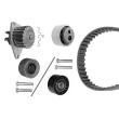 BOSCH 1 987 948 703 - Pompe à eau + kit de courroie de distribution