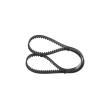 BOSCH 1 987 949 558 - Courroie crantée