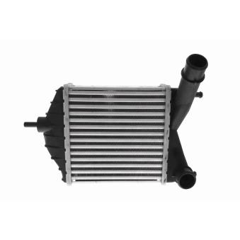Intercooler, échangeur VEMO V24-60-0052