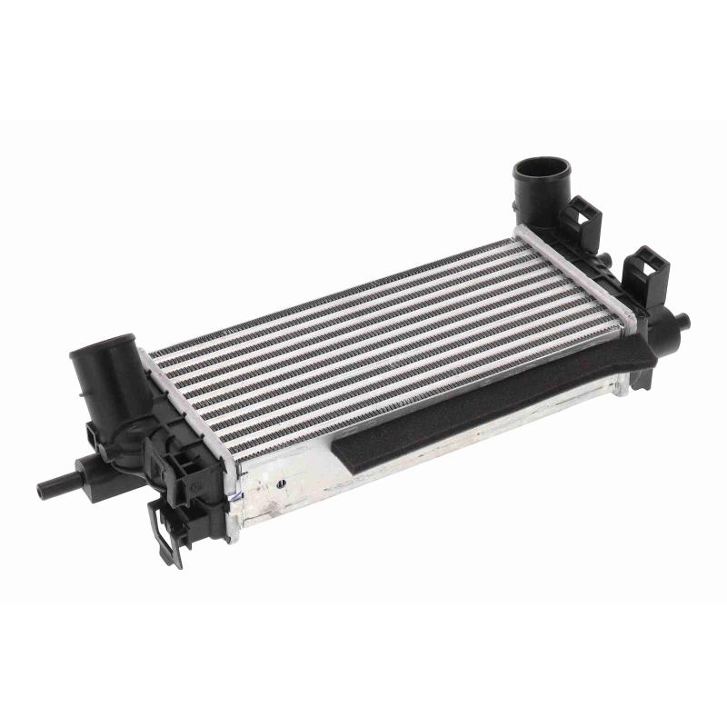 Intercooler, échangeur VEMO V25-60-0071 - Visuel 2