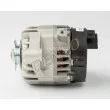 DENSO DAN1343 - Alternateur