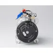 DENSO DCP05095 - Compresseur, climatisation