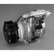 DENSO DCP11002 - Compresseur, climatisation