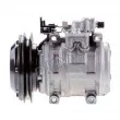DENSO DCP17095 - Compresseur, climatisation