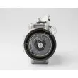 DENSO DCP17152 - Compresseur, climatisation