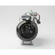 DENSO DCP17154 - Compresseur, climatisation