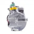 DENSO DCP17162 - Compresseur, climatisation
