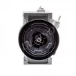 DENSO DCP21015 - Compresseur, climatisation