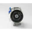 DENSO DCP32071 - Compresseur, climatisation