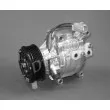 DENSO DCP50012 - Compresseur, climatisation