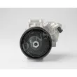 DENSO DCP50101 - Compresseur, climatisation