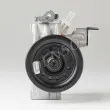 DENSO DCP50305 - Compresseur, climatisation