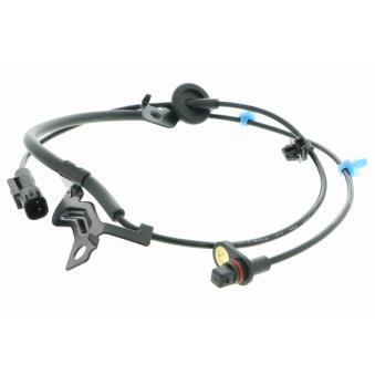 Capteur, vitesse de roue arrière droit VEMO V33-72-0041