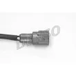 DENSO DOX-0253 - Sonde lambda